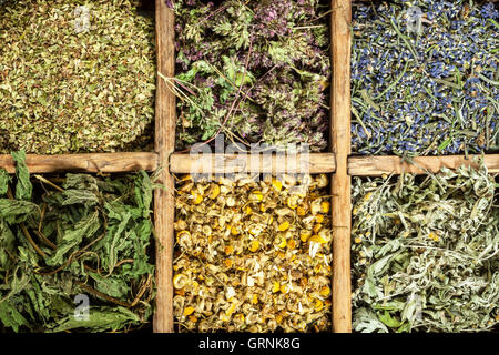 Assorted dried medical herbs tea. Stock Photo