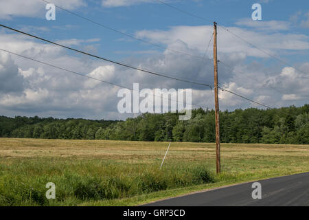 A wooden electric pole with the wires standing on the edge of a field by a road. Stock Photo