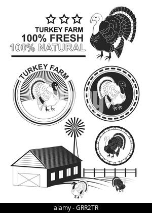 Set of premium turkey meat labels and stamps. Vector Stock Vector