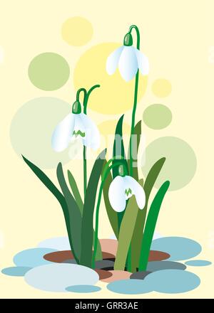 Snowdrops on a abstract background. Spring illustration. Illustration of flowers. Spring. Vector Stock Vector