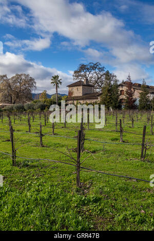 estate vineyard, V Sattui Winery, Napa Valley, Napa County, California, United States, North America Stock Photo