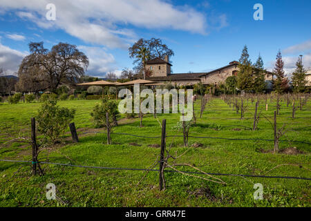 estate vineyard, V Sattui Winery, Napa Valley, Napa County, California, United States, North America Stock Photo