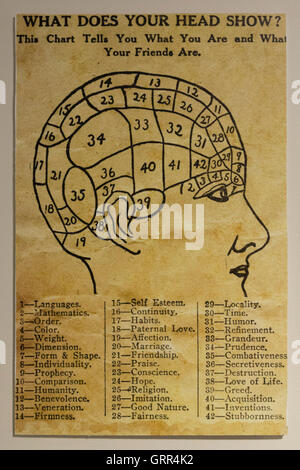 Hastings, Michigan - A phrenology chart in the museum at Historic Charlton Park village. Stock Photo