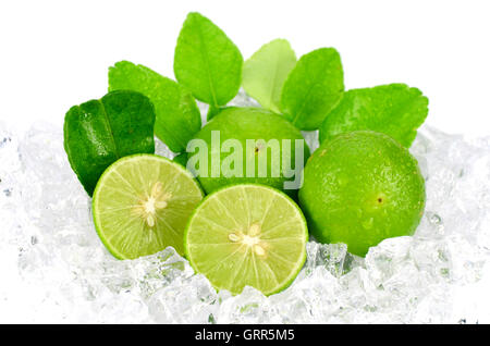 Cut lime (Citrus aurantifolia (Christm.)  Swingle) and ice on white Background. Stock Photo