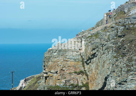 Sheep on a rocky hill Stock Photo