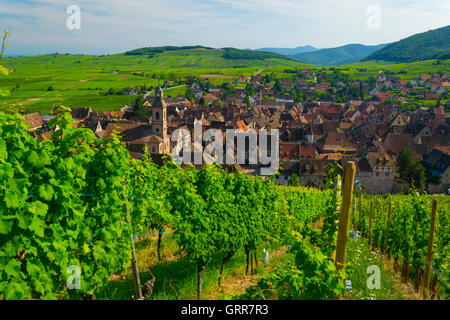 France, Haut-Rhin (68), Wine road, Riquewihr, vineyards and village Stock Photo