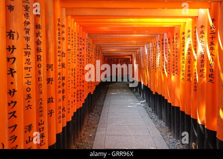 A Torii (鳥居) (Gate) path at Fushimi Inari-Taisha (伏見稲荷大社) Shinto Shrine Stock Photo