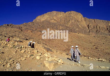 People walking in the Sinai desert, Egypt, Asia Stock Photo