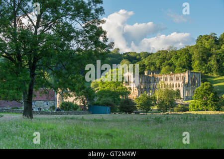 Picturesque sunlit ruins of beautiful historic medieval Rievaulx Abbey by hillside in tranquil valley (summer evening) - North Yorkshire, England, UK. Stock Photo