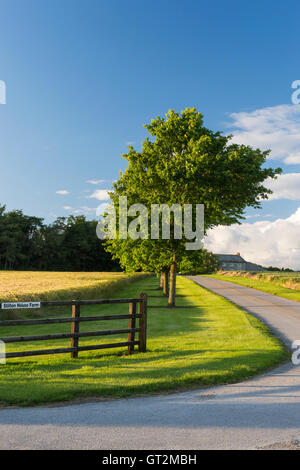 Summer evening sunlight creates deep blue sky and bright greens - driveway entrance to a farm in the North York Moors, England. Stock Photo