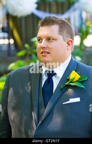 Handsome Groom Portraits Stock Photo