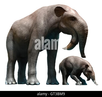 The hoe tusker, or Deinotherium (terrible beast),was a prehistoric  relative of Elephants with strange downward-curving tusks from its lower  jaws Stock Photo - Alamy