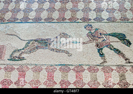 Hunting Scene Mosaic Paphos Cyprus Stock Photo