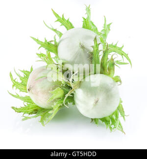 Young hazelnuts on the white background. Stock Photo