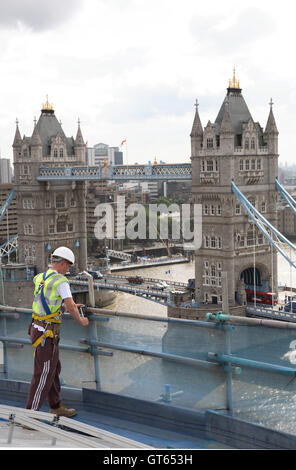 A young workman adjusts scaffolding on the roof of London's former City Hall building during refurbishment work. Tower Bridge and River Thames beyond. Stock Photo