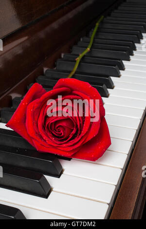 Red Rose Piano Romance Stock Photo