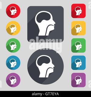 larynx, Medical Doctors Otolaryngology icon sign. A set of 12 colored buttons and a long shadow. Flat design. Vector Stock Vector