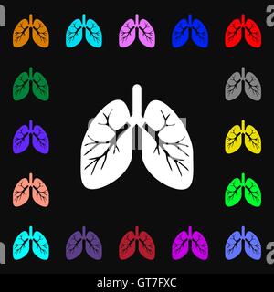 Lungs icon sign. Lots of colorful symbols for your design. Vector Stock Vector