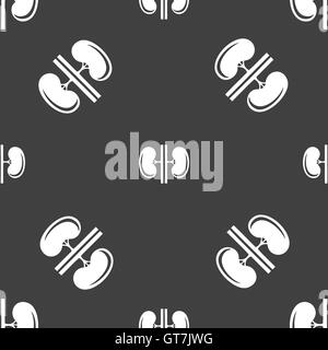 Kidneys sign. Seamless pattern on a gray background. Vector Stock Vector