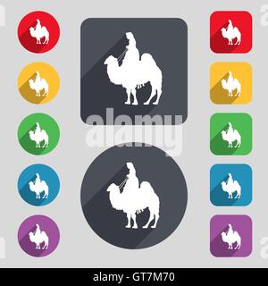 Camel icon sign. A set of 12 colored buttons and a long shadow. Flat design. Vector Stock Vector