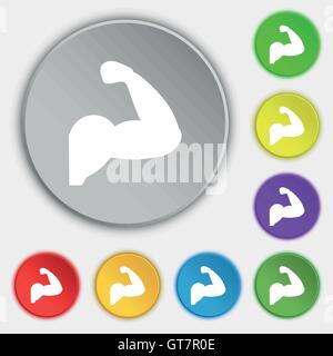 Biceps strong arm. Muscle icon sign. Symbol on eight flat buttons. Vector Stock Vector