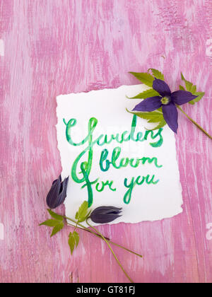 Watercolor lettering "Gardens bloom for you" with dark violet clematis alpina flowers on the rustic violet painted background Stock Photo