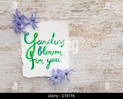 Watercolor lettering 'Gardens bloom for you' with blue hyacinth flowers on the rustic white rough painted background Stock Photo