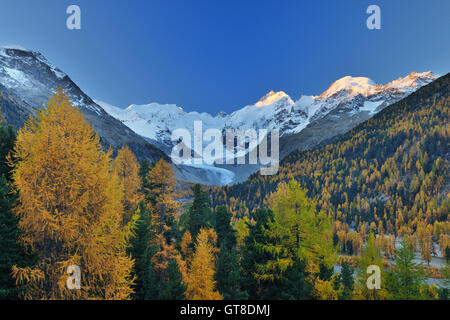 Sunrise in Mountains, Morteratsch Glacier, Bernina Pass, Pontresina, Maloja, Canton of Graubunden, Switzerland Stock Photo