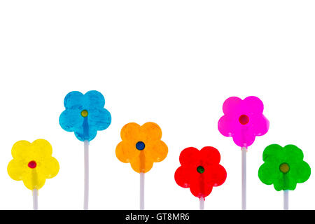 Colorful vibrant spring background with copy space on white with a row of flowers on sticks or stalks in the colors of the rainb Stock Photo