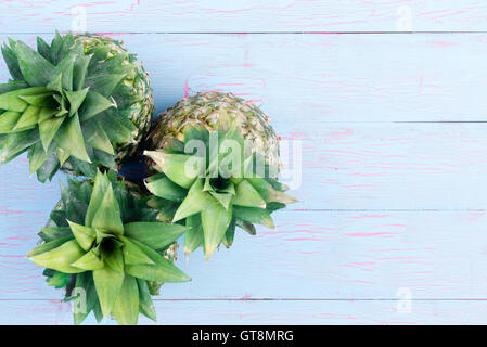 Three fresh pineapples viewed from the top looking down on the whorled pattern of the fresh green leaves on a blue wooden table Stock Photo