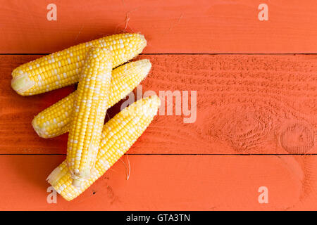 Four fresh healthy organic sweet corn on the cob on an orange stained wooden table with copy space on display at a farm market p Stock Photo