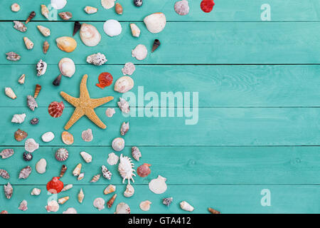 Sea star and assorted colorful sea shells of different shapes and sizes arranged in a decorative curve on green stained wooden b Stock Photo
