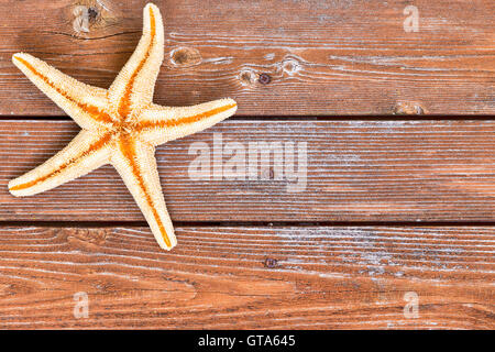 Starfish skeleton on top corner of old weathered cedar stained wooden plank background with copy space Stock Photo
