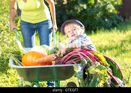 Kid and mother in domestic garden. Adorable boy standing near wheelbarrow with vegetables harvest. Healthy organic fod for children. Stock Photo