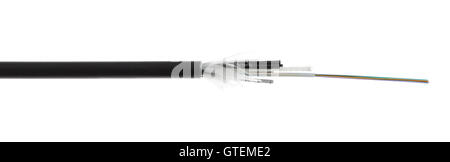 Fiber optic, optical cable detail isolated on white background. Loose tubes with optical fibres and central strenght member incl Stock Photo