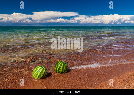 Two watermelons on the bank of Issyk-Kul lake Stock Photo