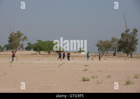 Migrant workers cricket team training in Kuwait Stock Photo