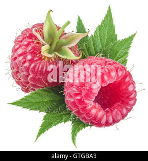 Two raspberries with leaves on the white background. Stock Photo