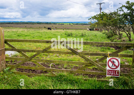 ' Beware on the bull' sign on a farm gate near Bowness-on Solway, Cumbria, England Stock Photo