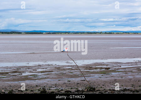 A Union Flag on a branch below high-water mark on the mud flats on Solway Firth, Bowness-on Solway, Cumbria, England Stock Photo