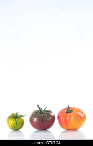 assorted old variety of tomatoes isolated on white Stock Photo