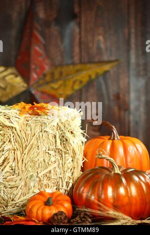 Fall Themed Scene With Pumpkins on Wood Stock Photo - Alamy