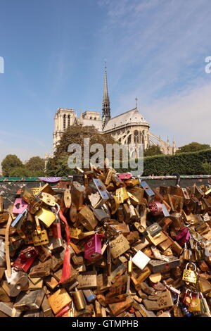 Notre Dame Cathedral Stock Photo