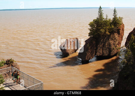 Unidentidies Backpackers on a platform  viewing  Hopewell Rocks in the Bay of Fundy, New Brunswick, Canada in the muddy water at Stock Photo