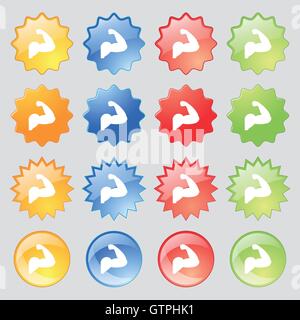 Biceps strong arm. Muscle icon sign. Big set of 16 colorful modern buttons for your design. Vector Stock Vector