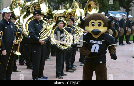 Musicians from the University of Colorado Marching Band and 'Chip' Stock Photo