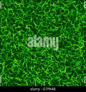Green color grass vector background. Fresh spring lawn vector illustration. Stock Vector