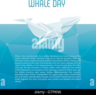 Isolated whale vector illustration. Ocean mammal on the blue background image. Stock Vector