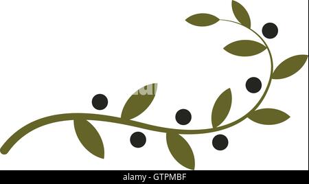 Silhouette olive branch nature isolated icon Vector Image