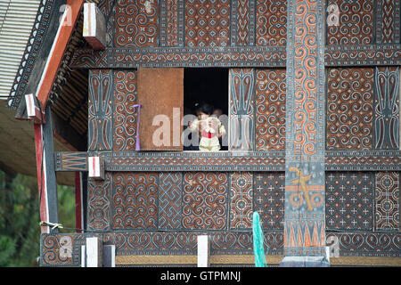 Toraja family pose for camera at the window of Toraja traditional house called Tongkonan at Bagan Pangala village. Stock Photo